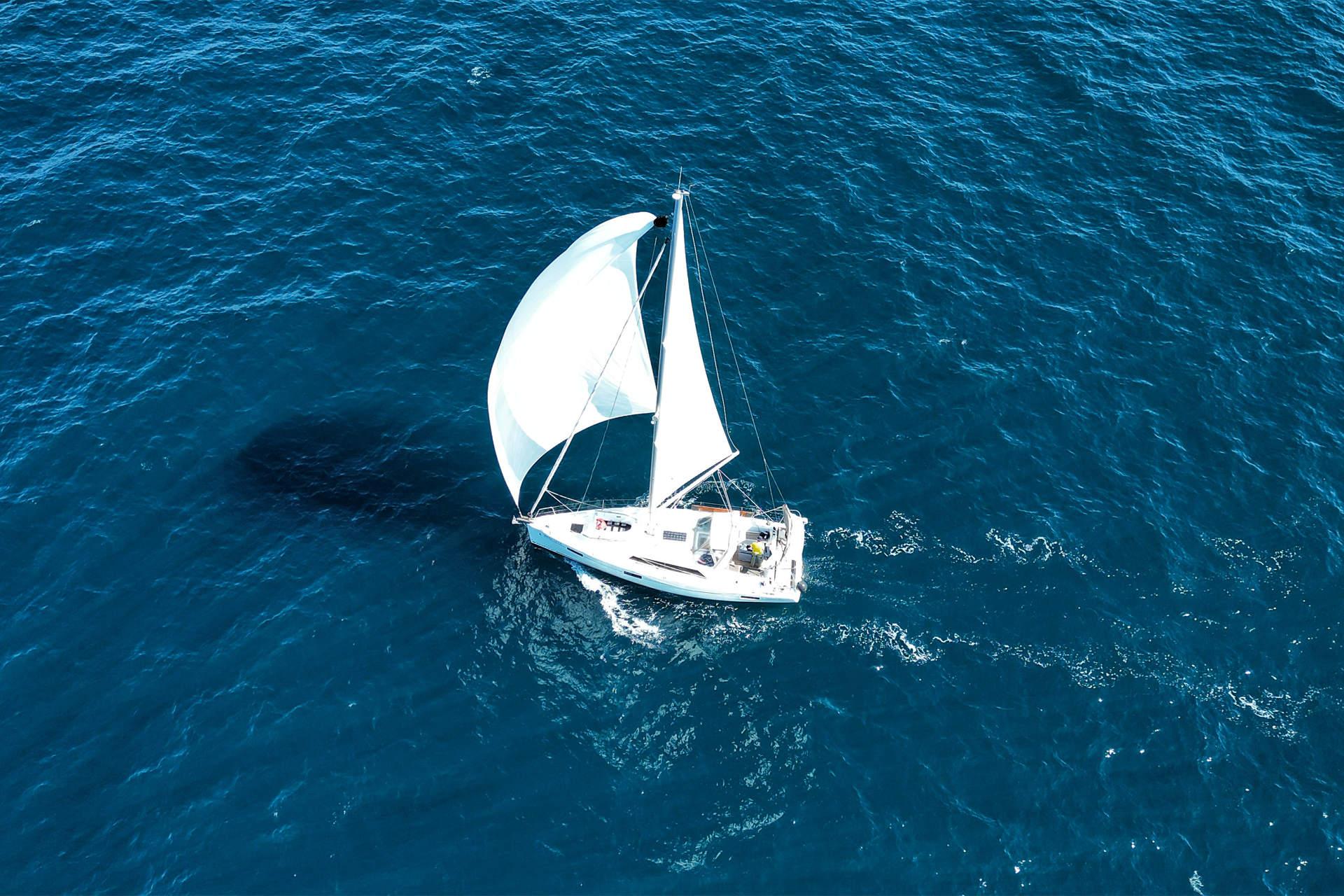 Oceanis 41.1, picture 6