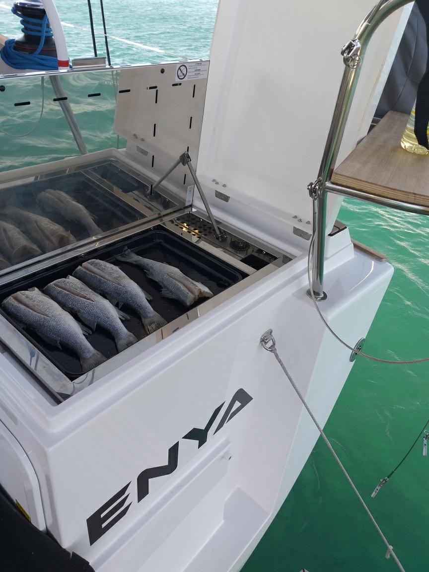 Elan Impression 45.1, picture 8