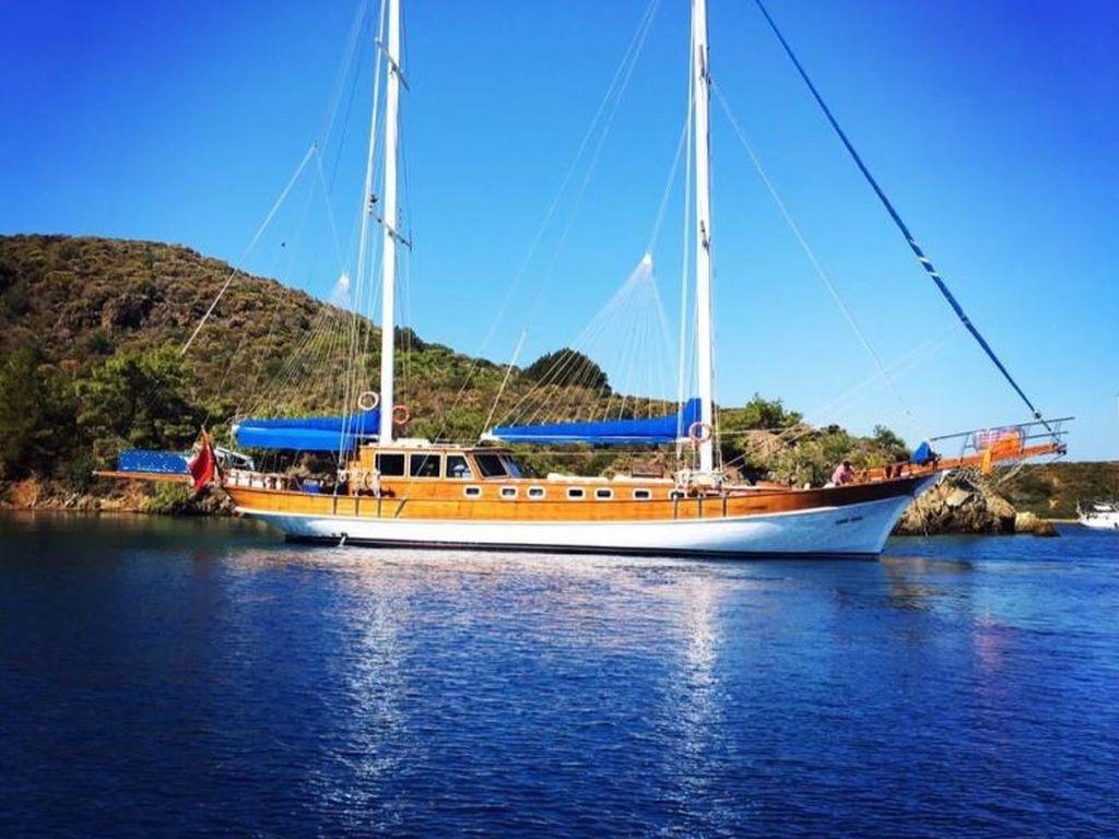 Askim Deniz, picture 8