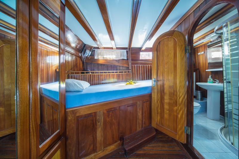 MSY Atalanta, picture 28