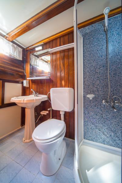 MSY Atalanta, picture 34