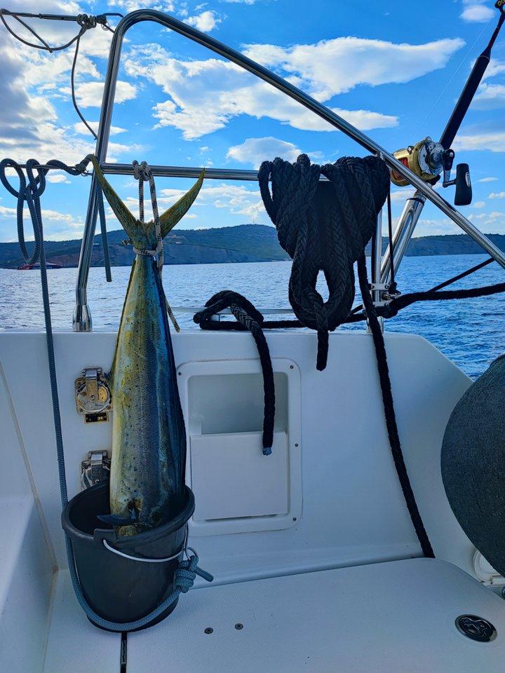 Lagoon 450 F - 4 + 1 cab., picture 7