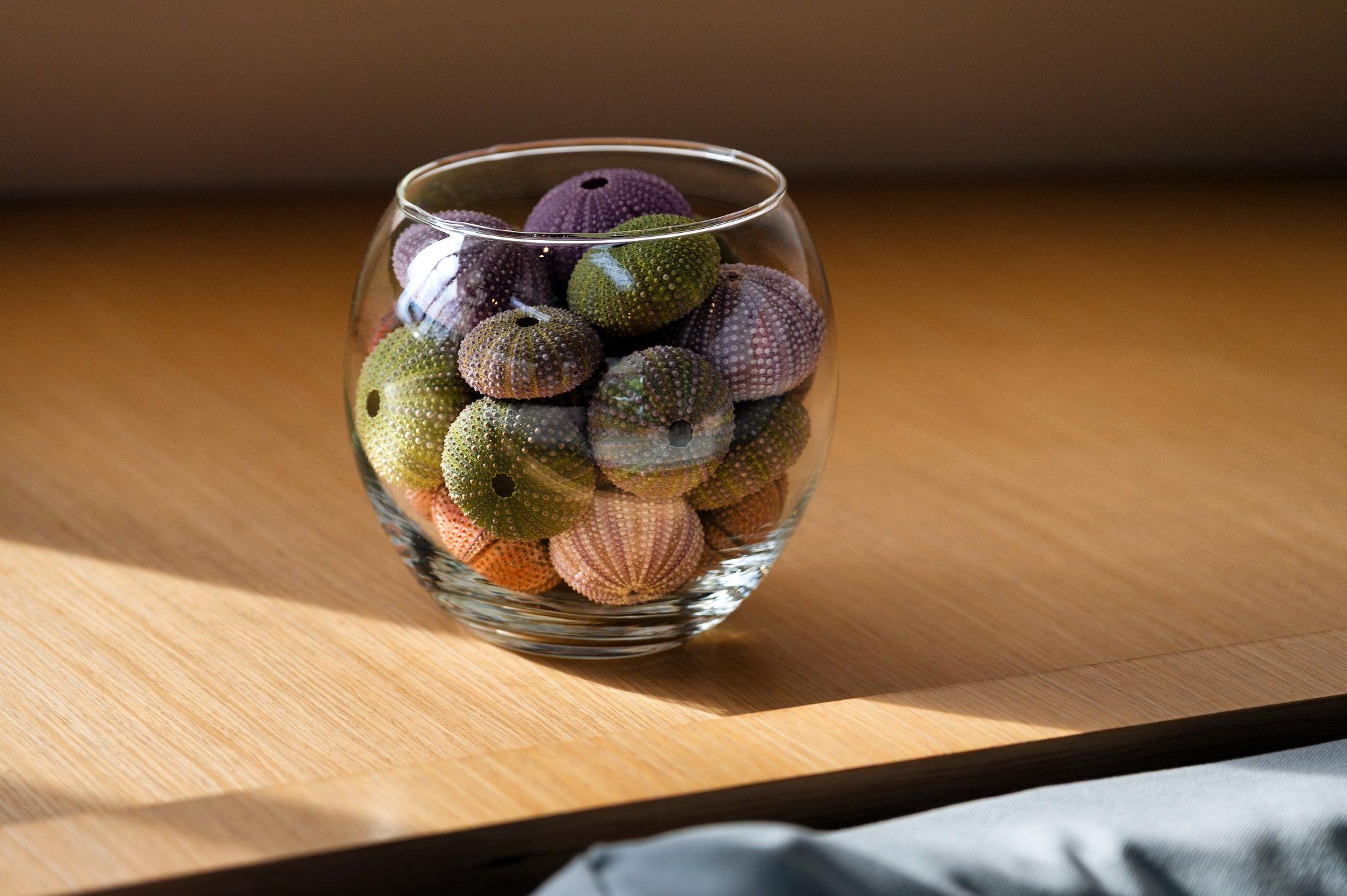 Fountaine Pajot Saba 50 - 6 + 1 cab., picture 24