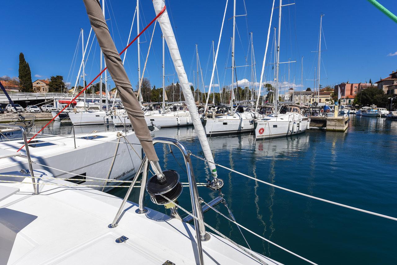 Bali Catspace, picture 13