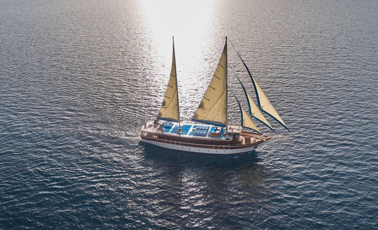 Tajna Mora, picture 3