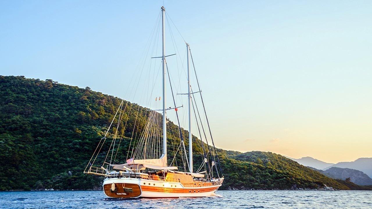 Wicked Felina, picture 2