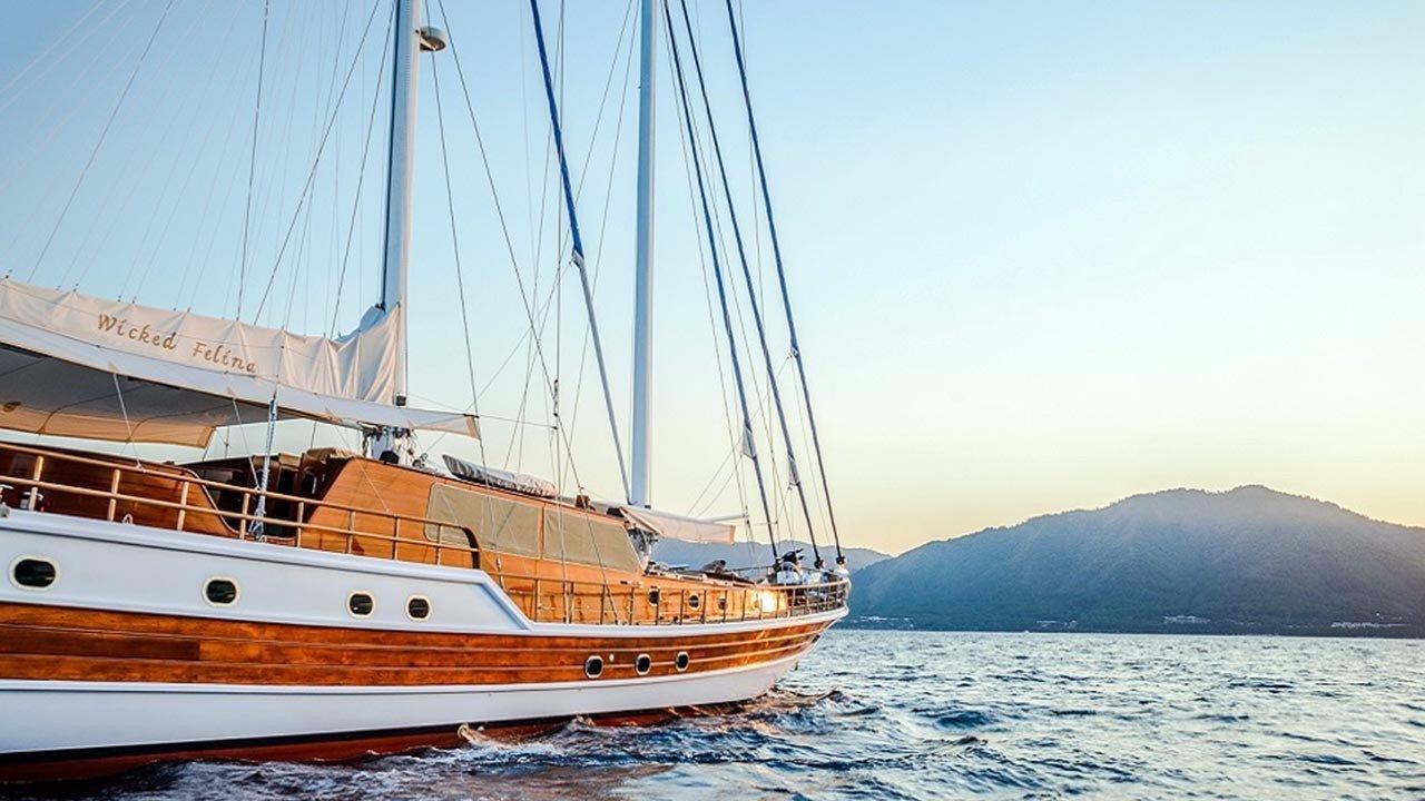 Wicked Felina, picture 6