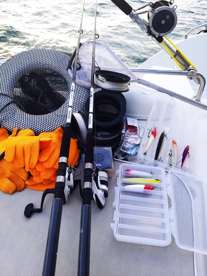 Salina 48 - Zenith, picture 12