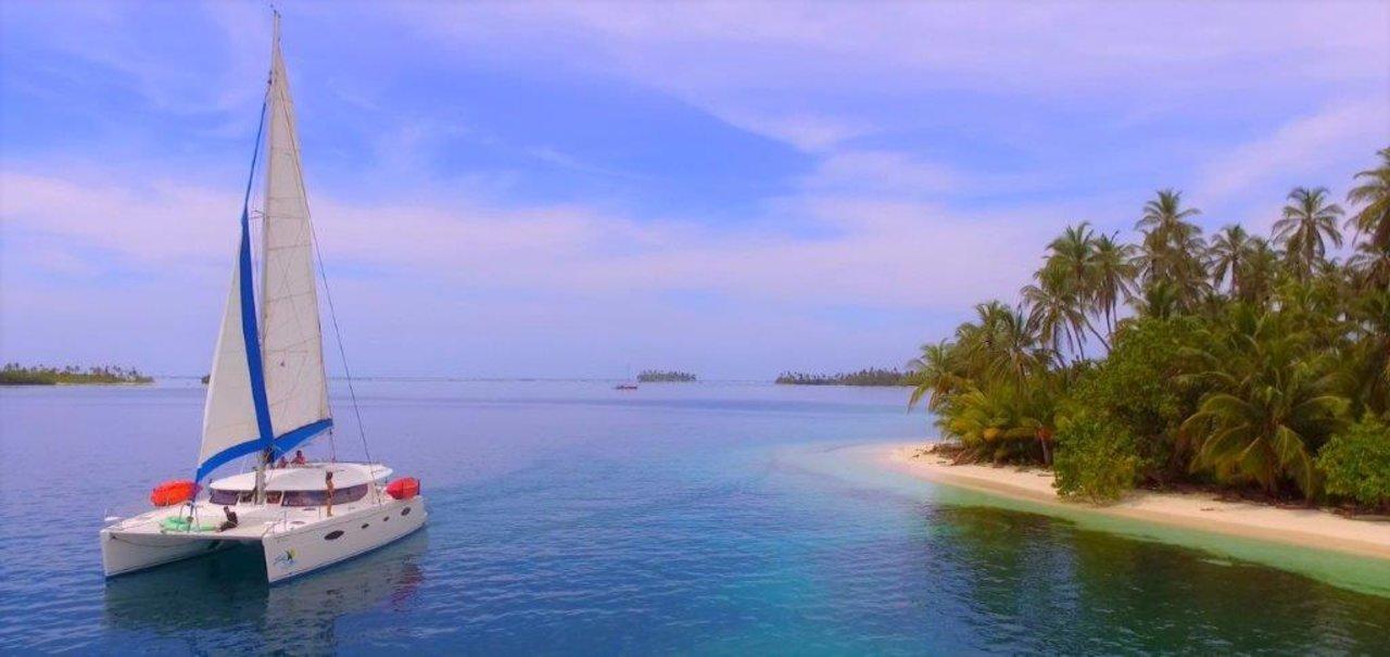 Salina 48 - Zenith, picture 3