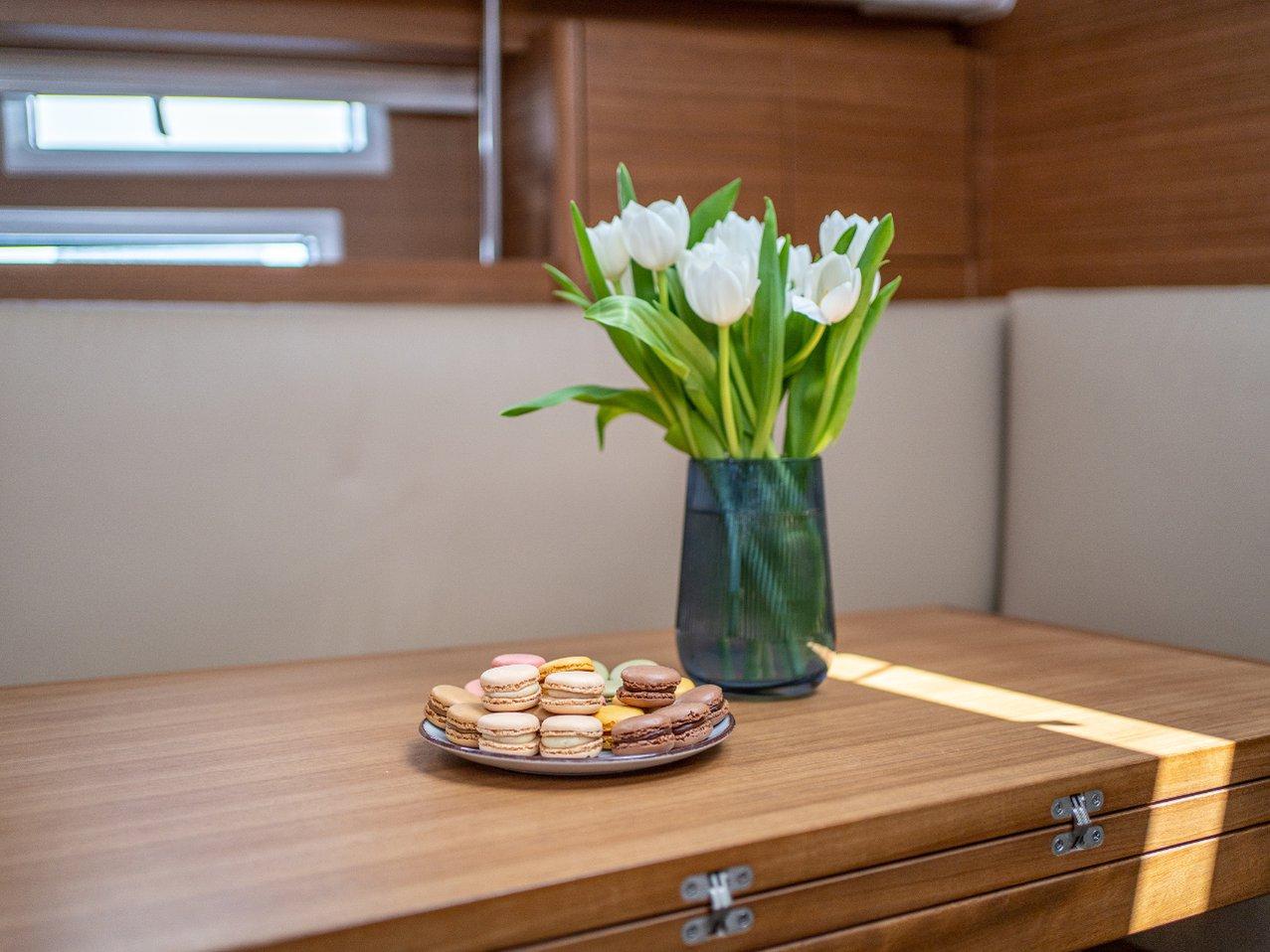 Elan Impression 40.1, picture 14