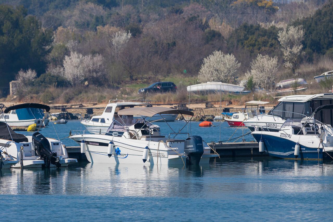 Pacific Craft 750 Sun Cruiser, picture 10