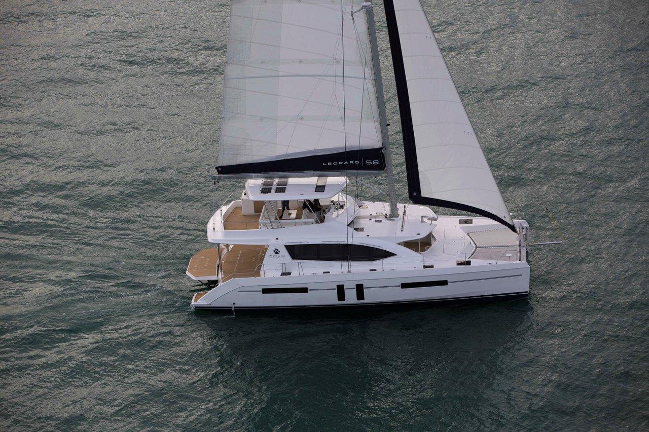 Leopard 58, picture 3