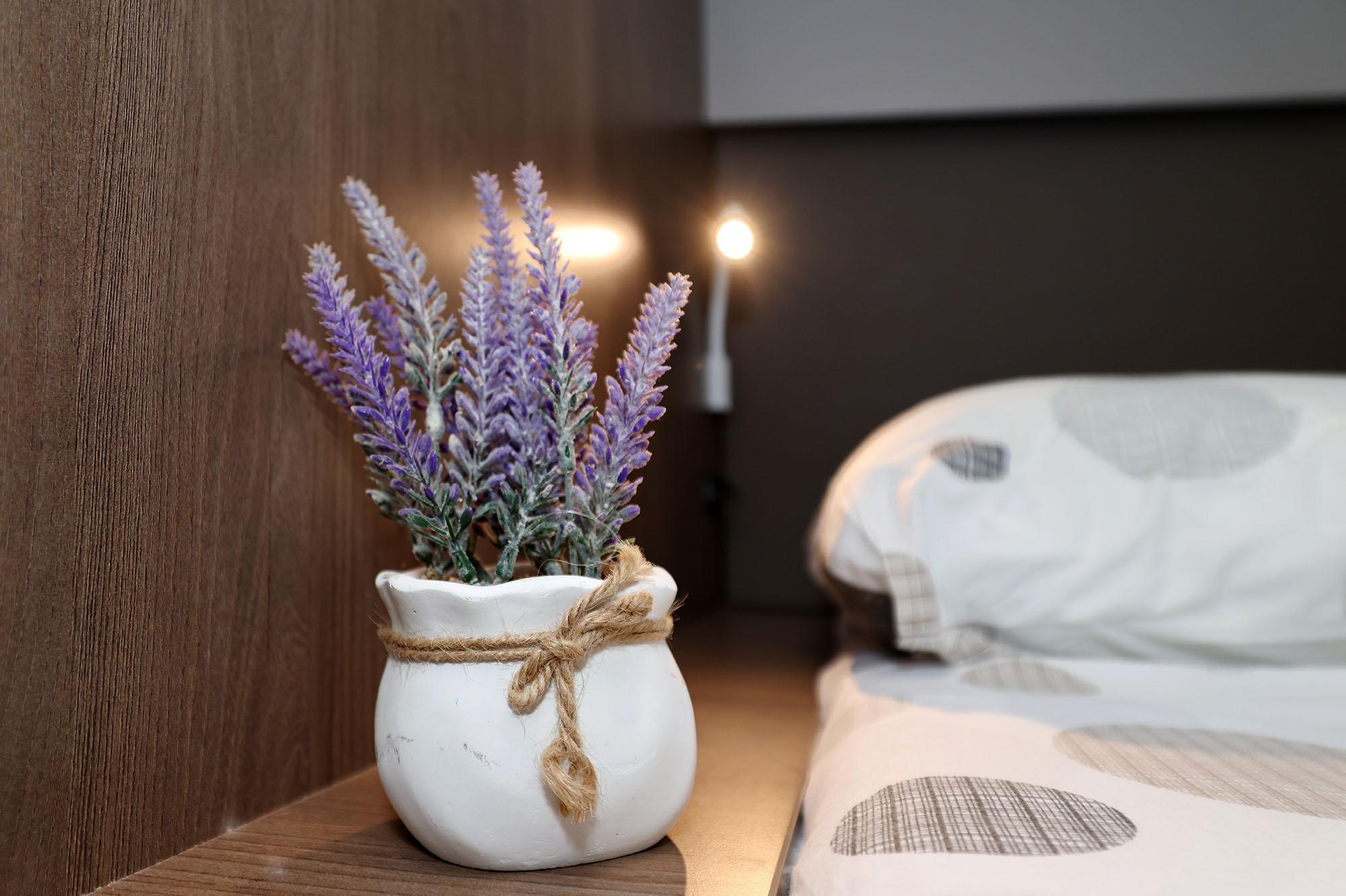 Bali Catspace, picture 29