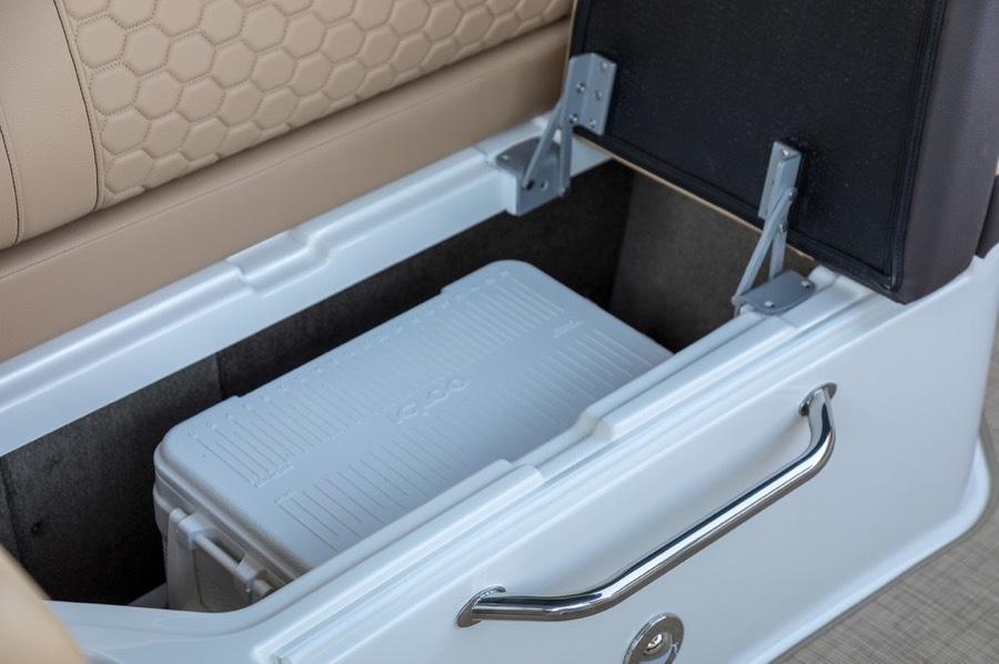 Sea Ray SDX 270, picture 6