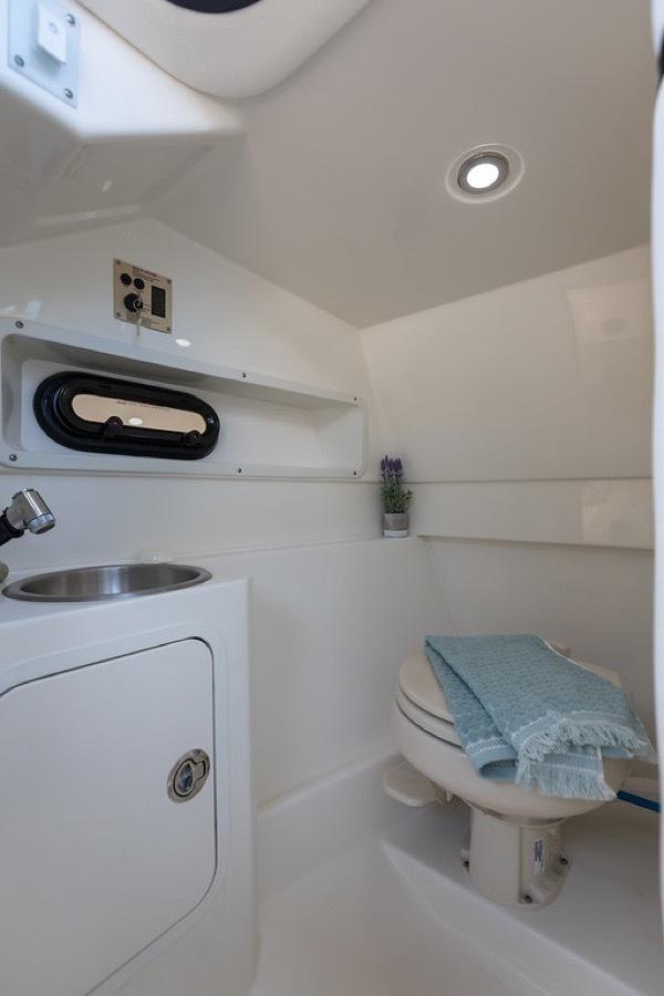 Sea Ray SDX 270, picture 10