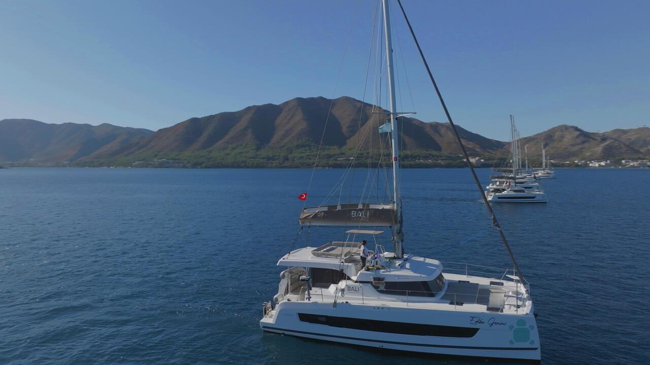 Bali Catspace, picture 1