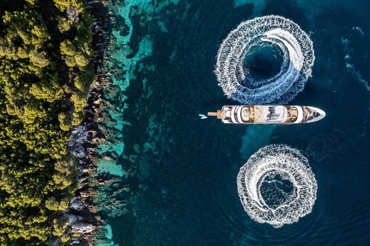 MY Custom Black Swan - Black Swan, picture 5