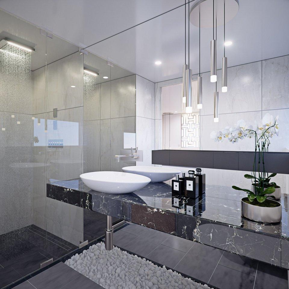 MY Custom Black Swan - Black Swan, picture 22