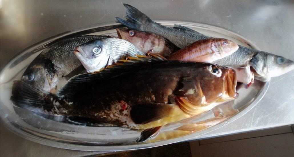 Adriatic Holiday, picture 23