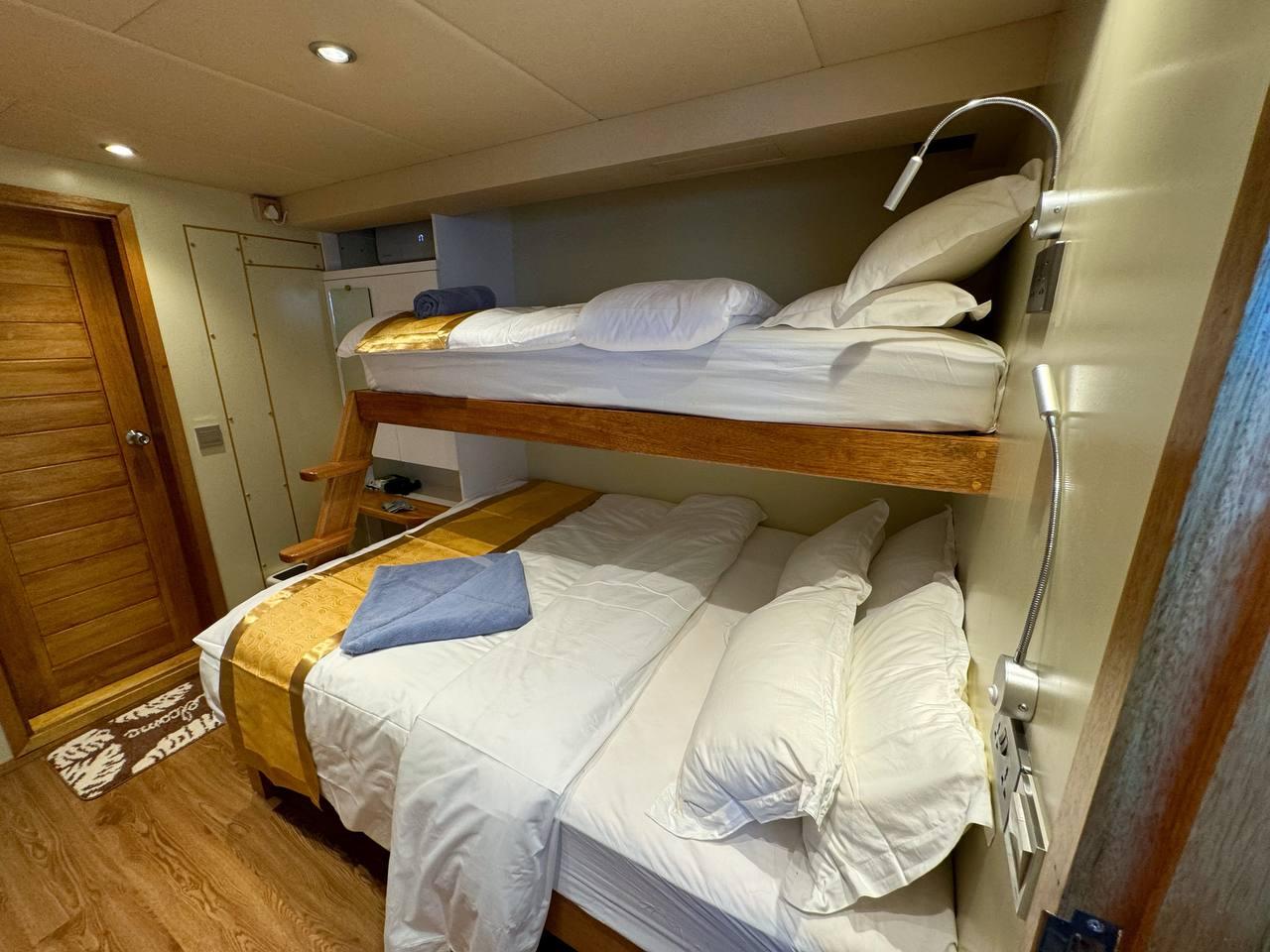 North Seven - North Seven Liveaboard, picture 25