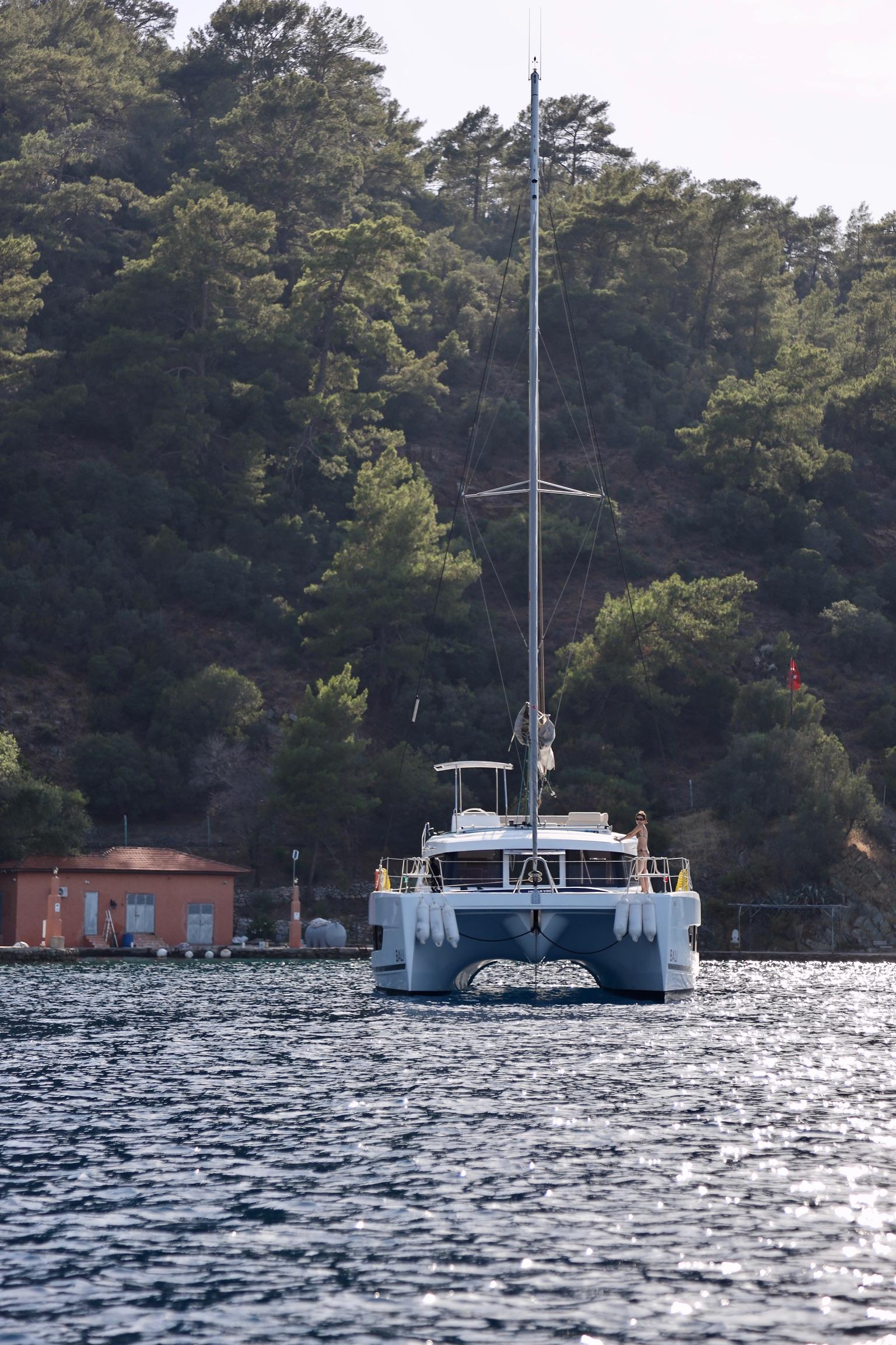 Bali Catspace, picture 13