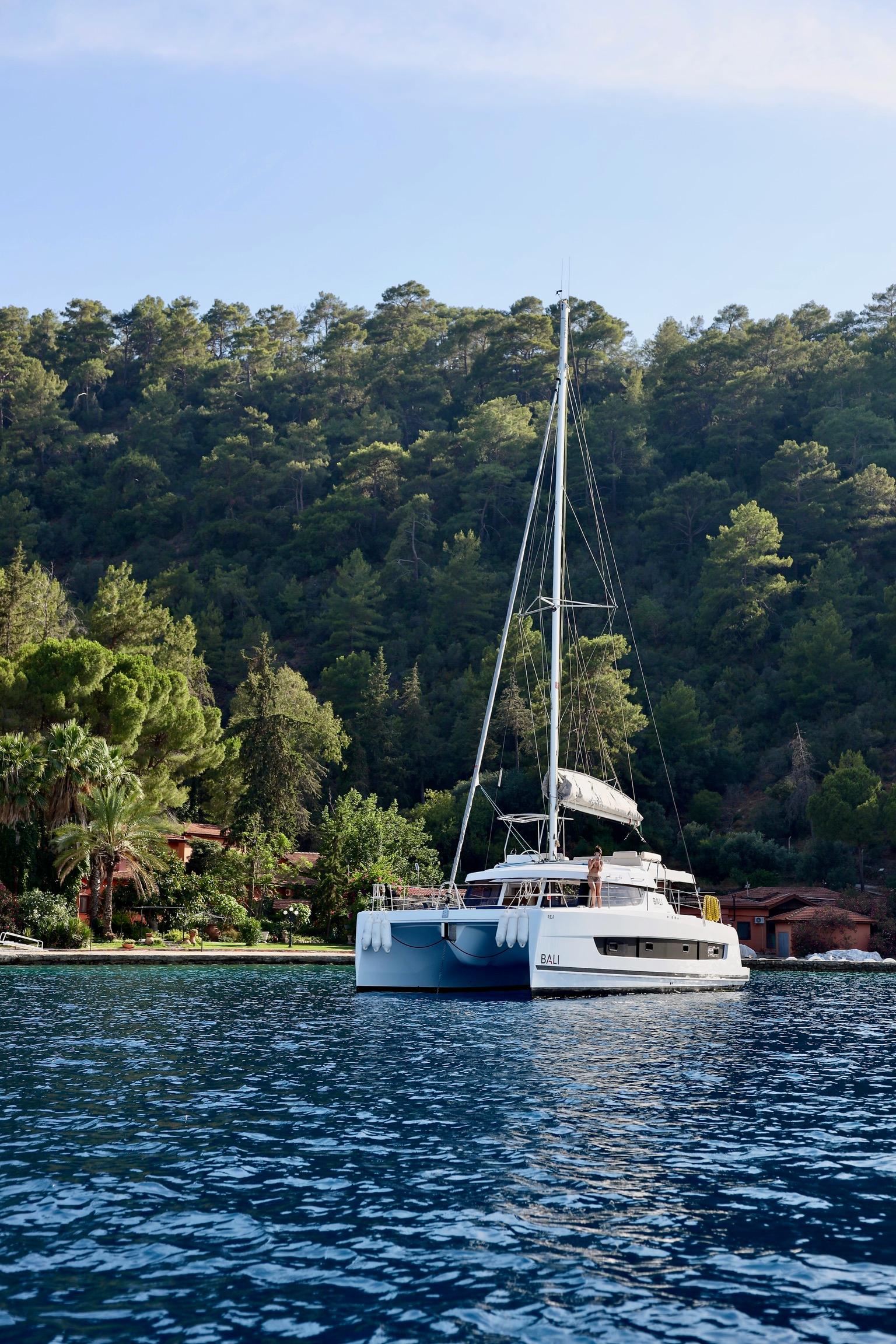 Bali Catspace, picture 14