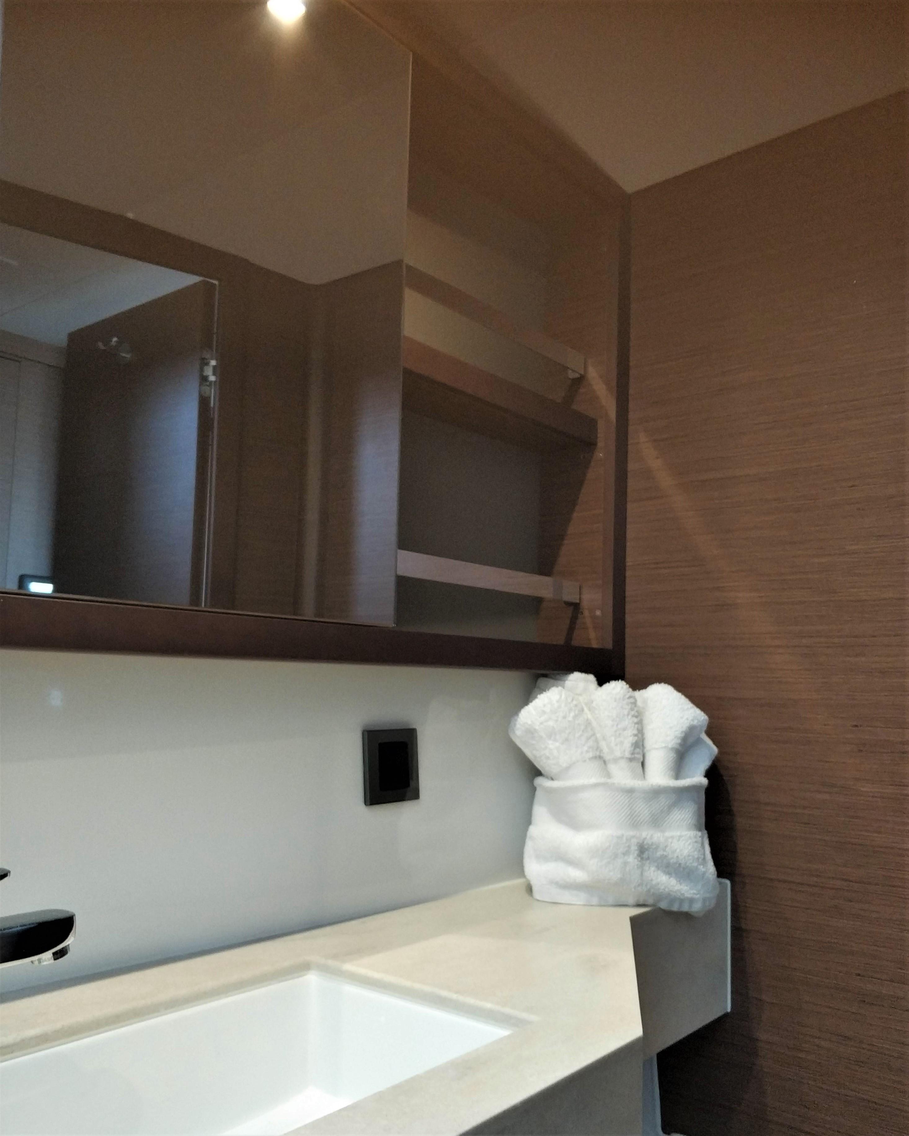 Lagoon 46 - 4 + 1 cab., picture 6