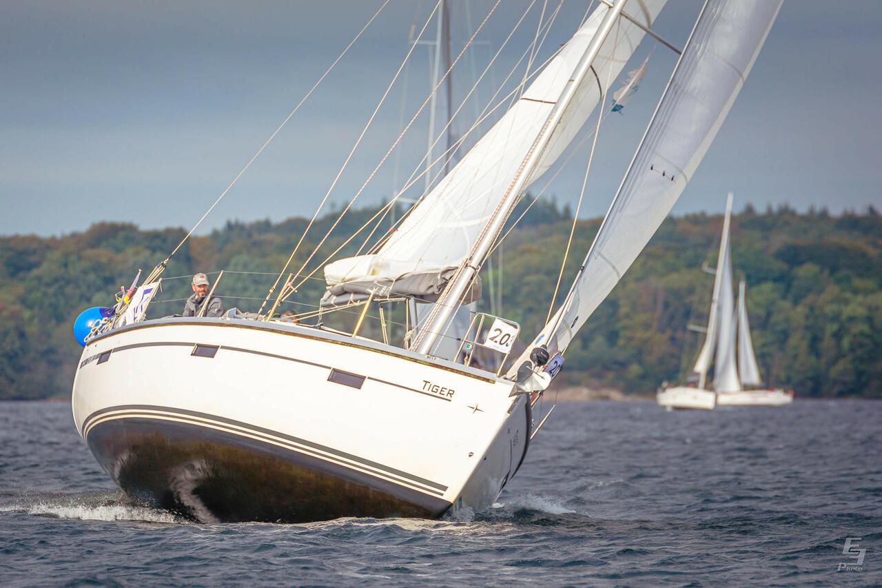 Bavaria Cruiser 37 - 3 cab., picture 4