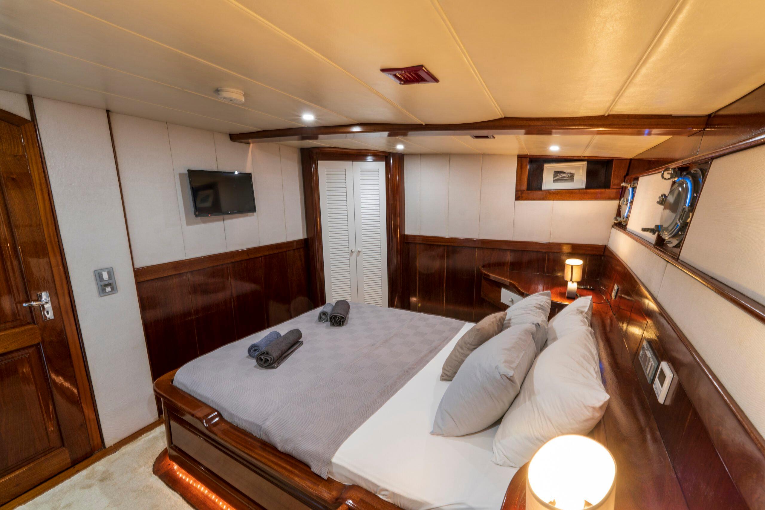 Nautilus, picture 15