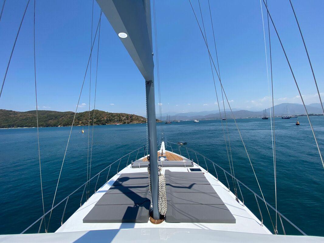 Albatros M, picture 2