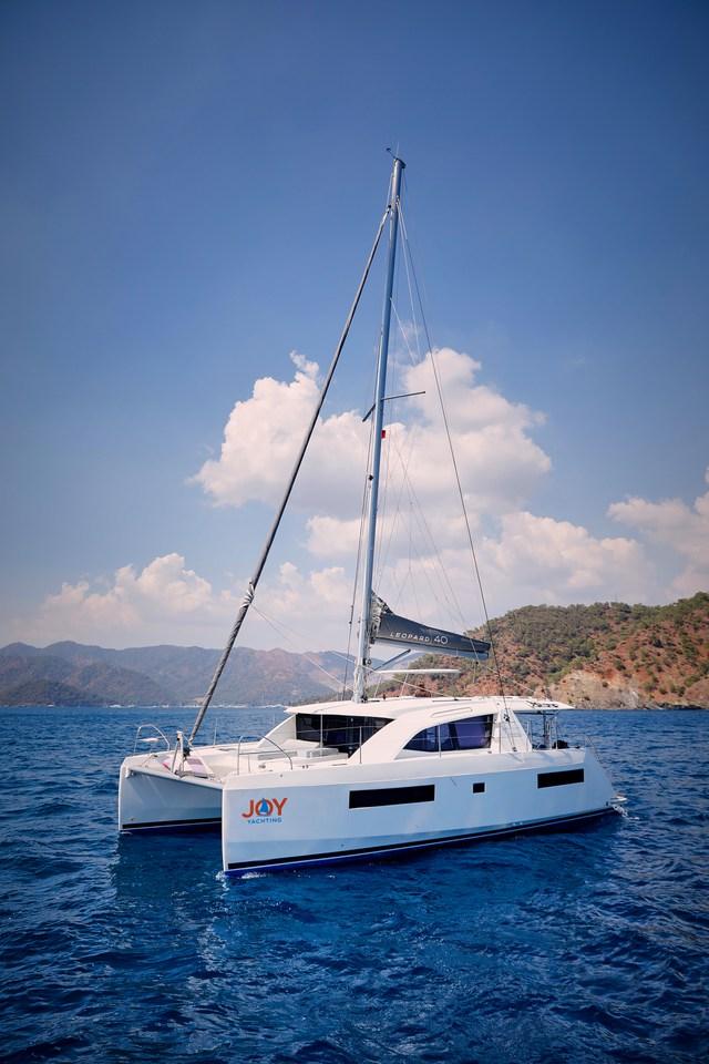 Leopard 40, picture 33