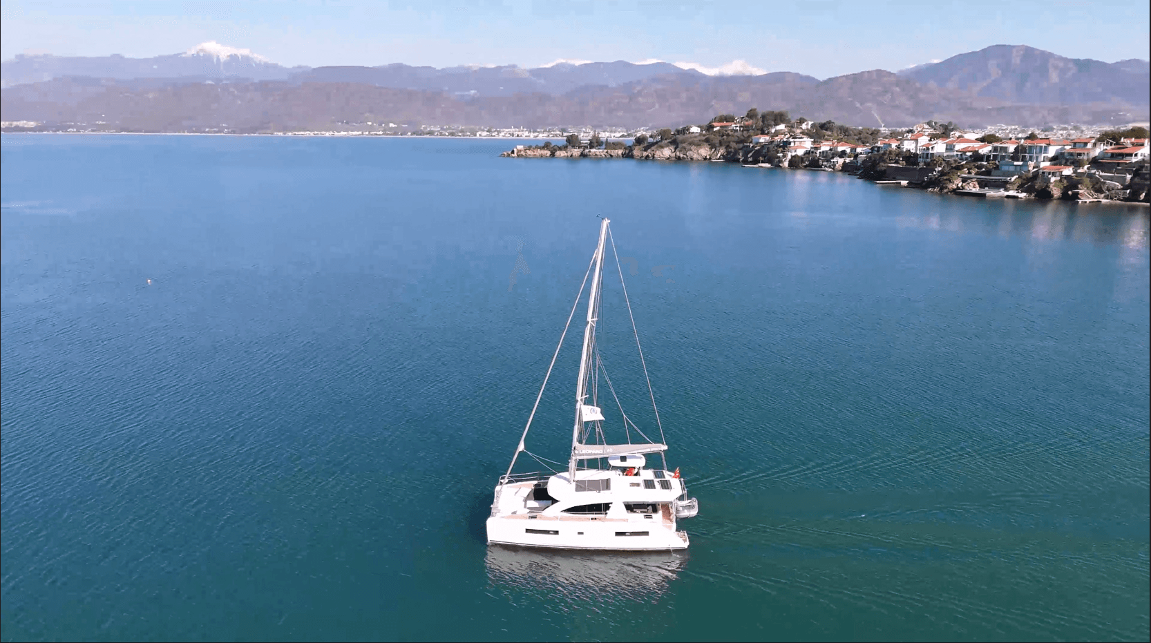 Leopard 40, picture 31