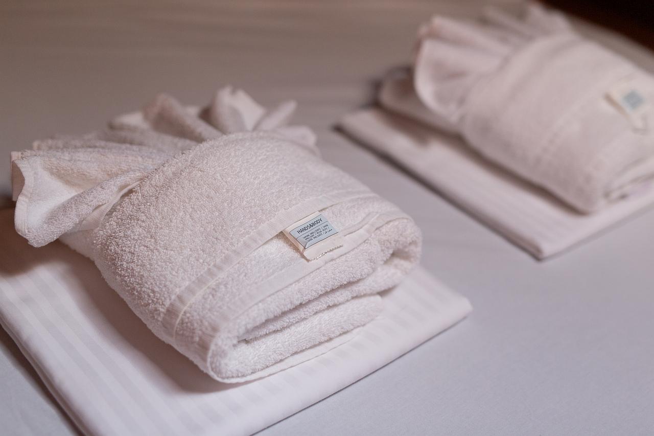 Dolphin 50, picture 31