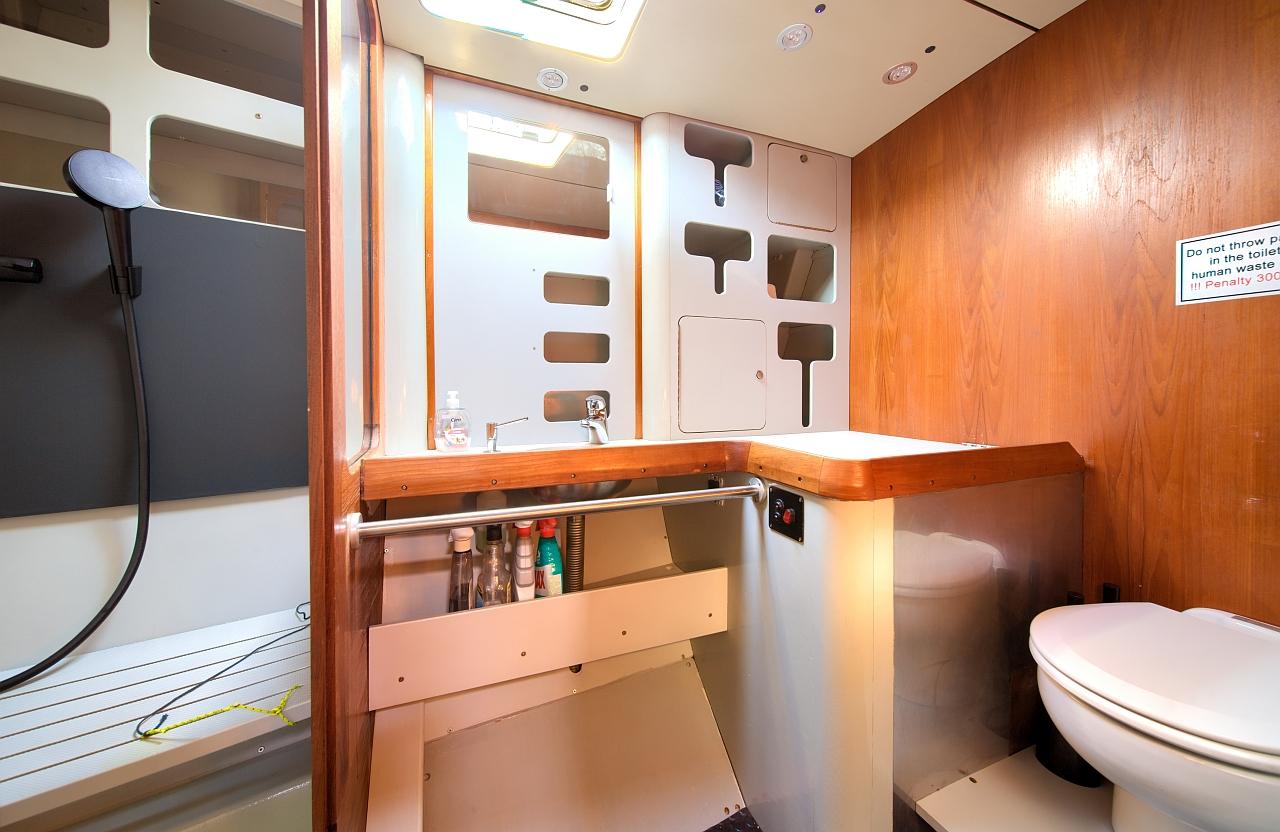 Dolphin 50, picture 33