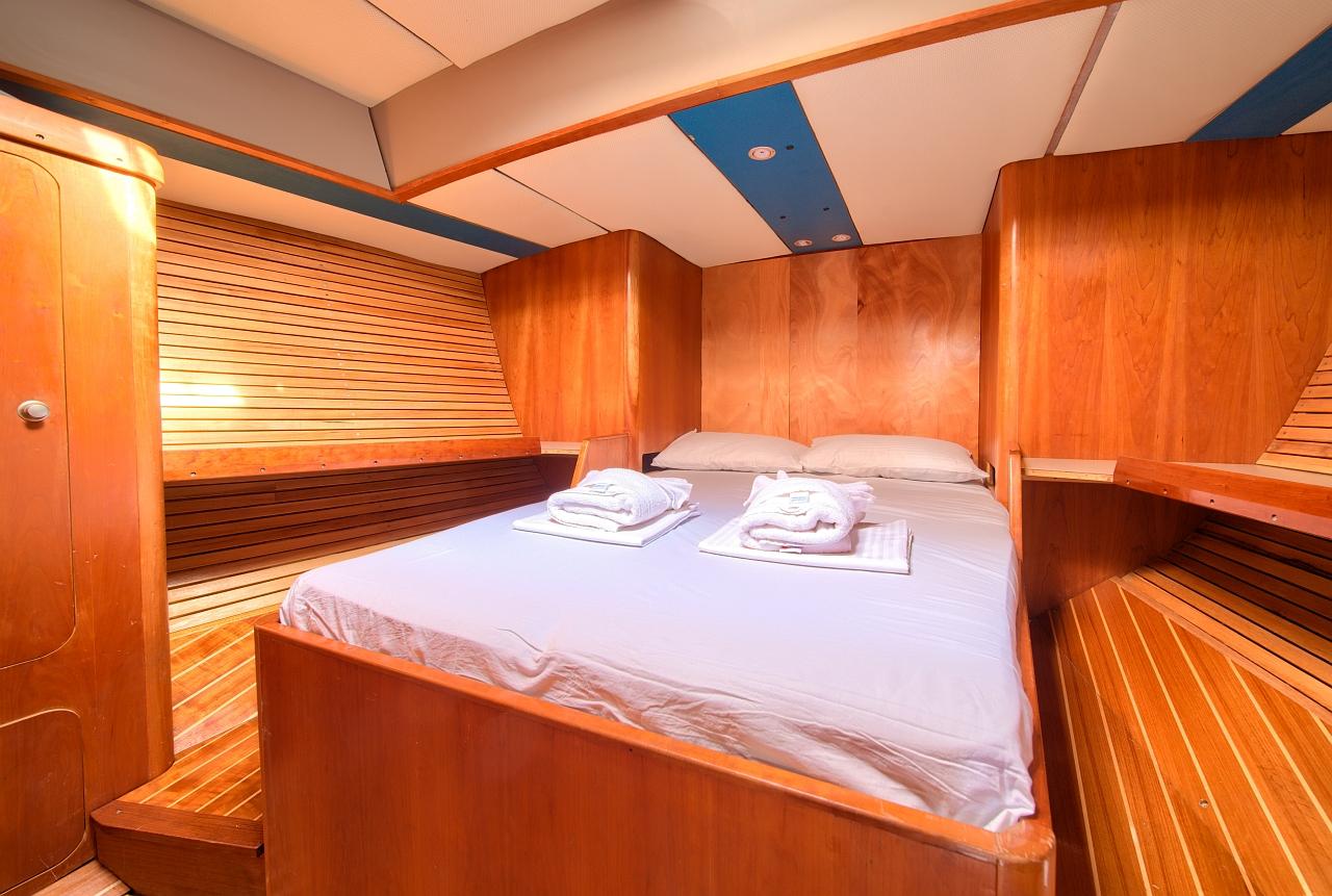 Dolphin 50, picture 30