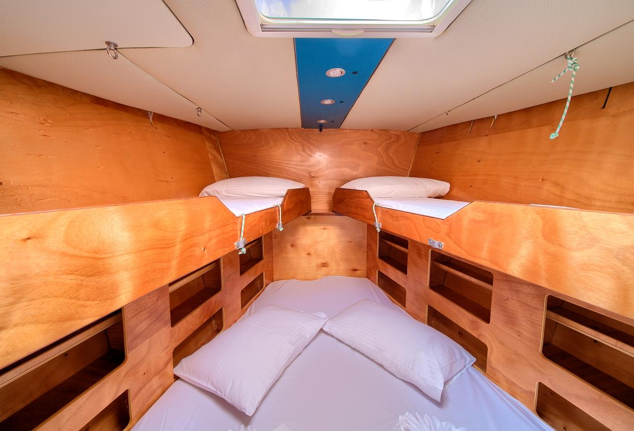 Dolphin 50, picture 26