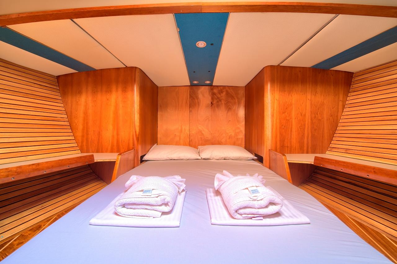 Dolphin 50, picture 28