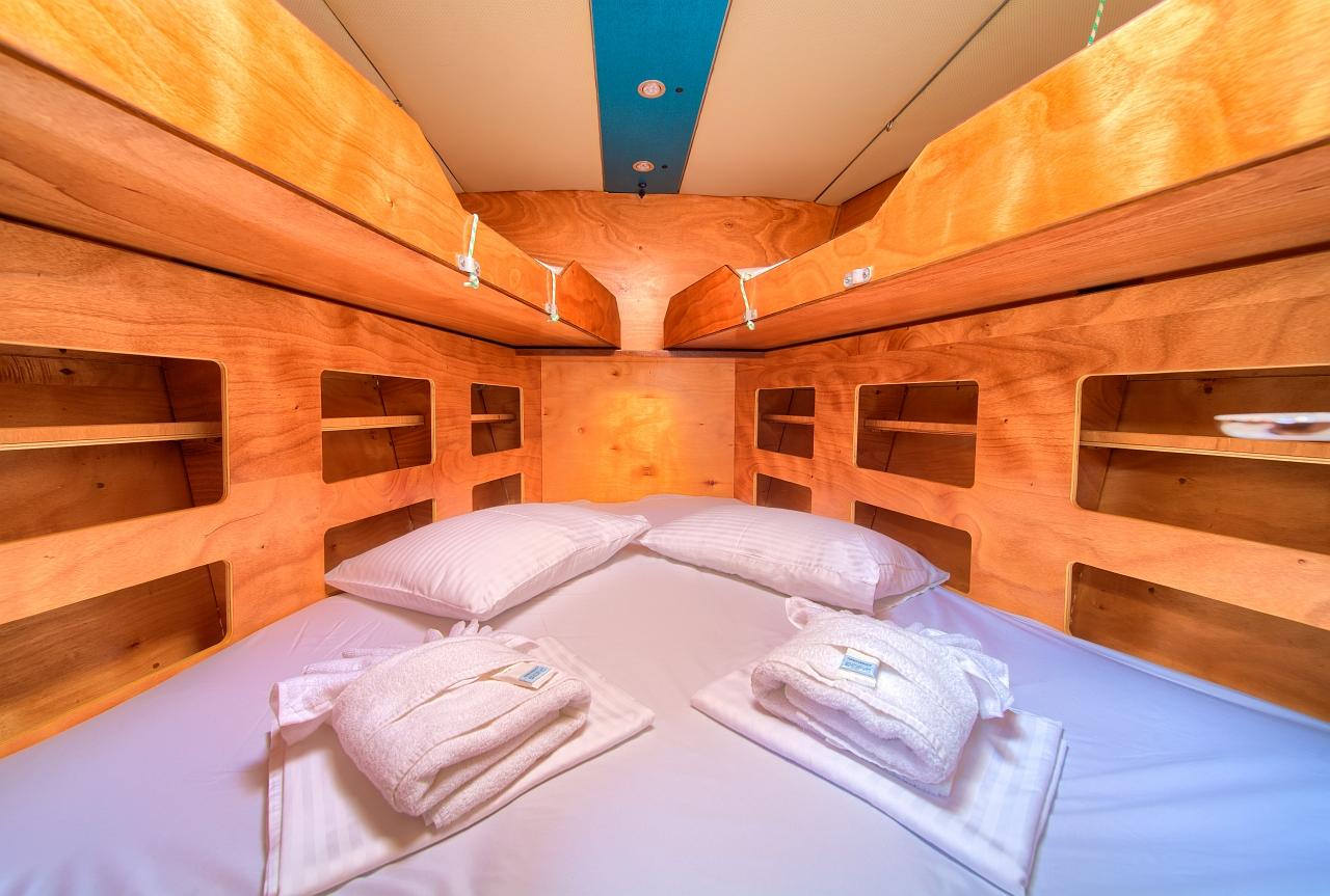 Dolphin 50, picture 27