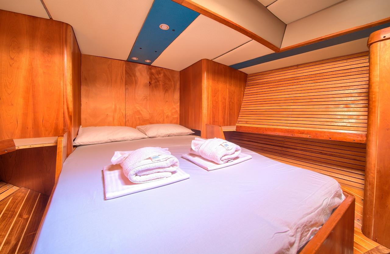 Dolphin 50, picture 29