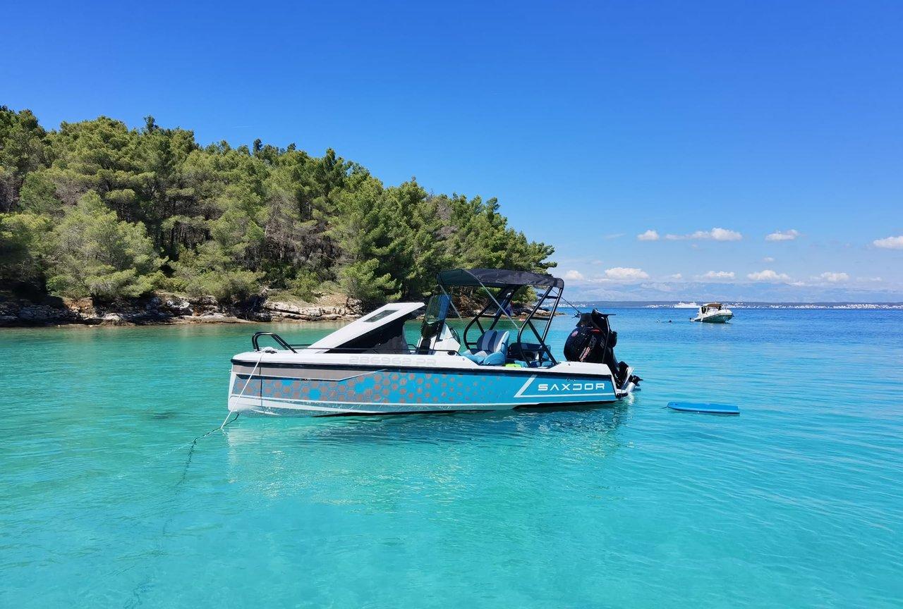 Saxdor 200, picture 5