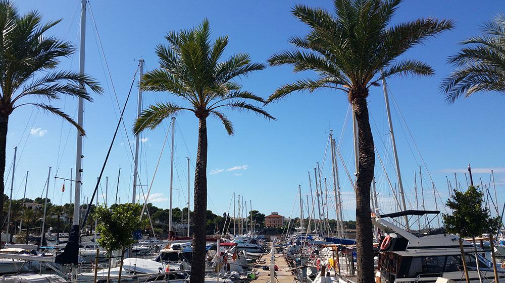 Bavaria Cruiser 51, picture 5