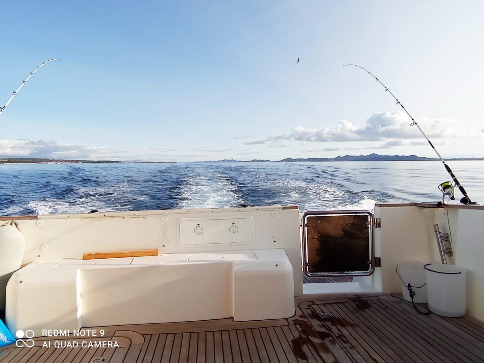 Altair 45, picture 11