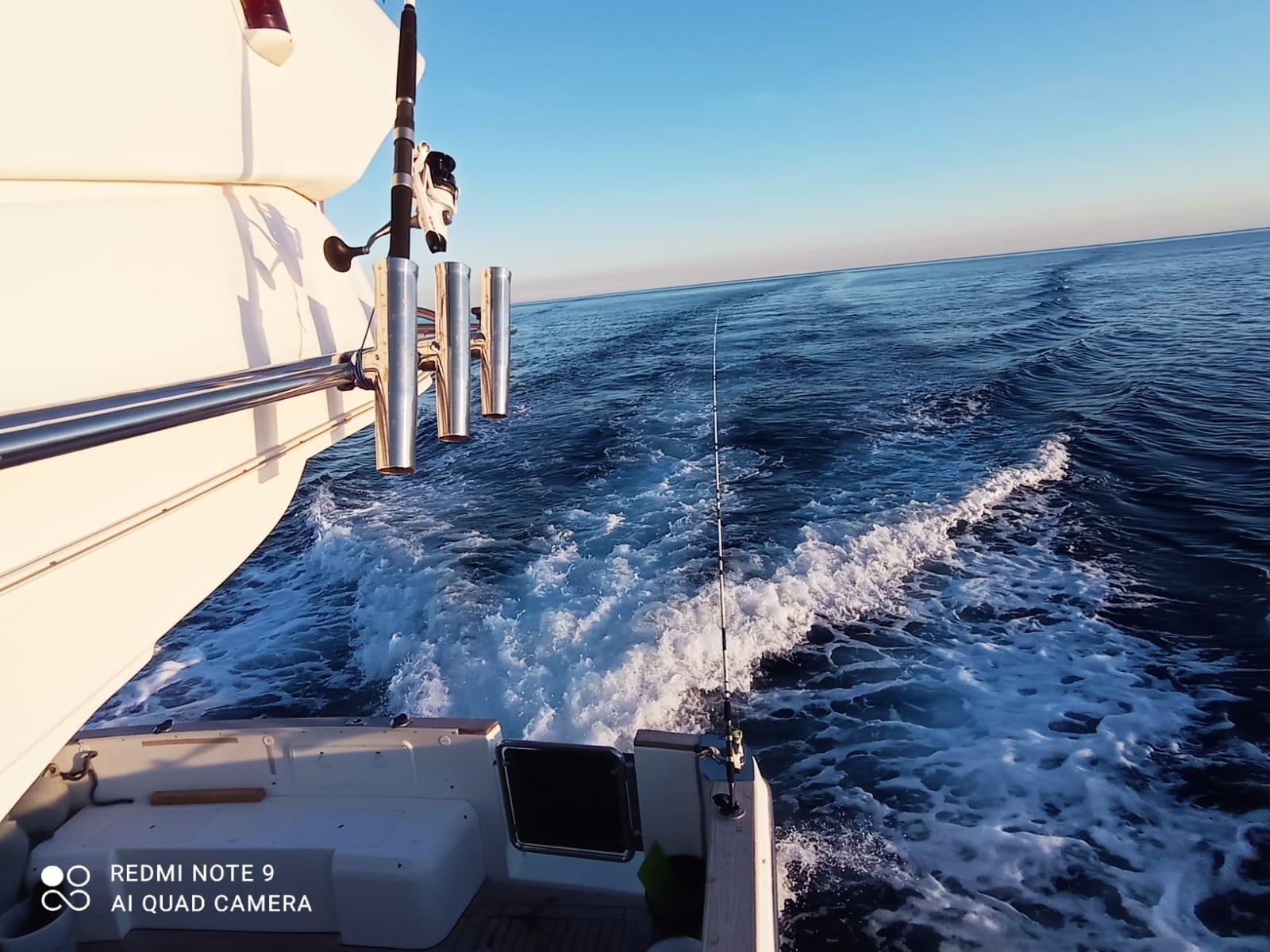 Altair 45, picture 9