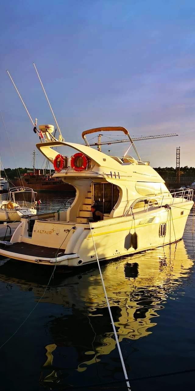 Altair 45, picture 12