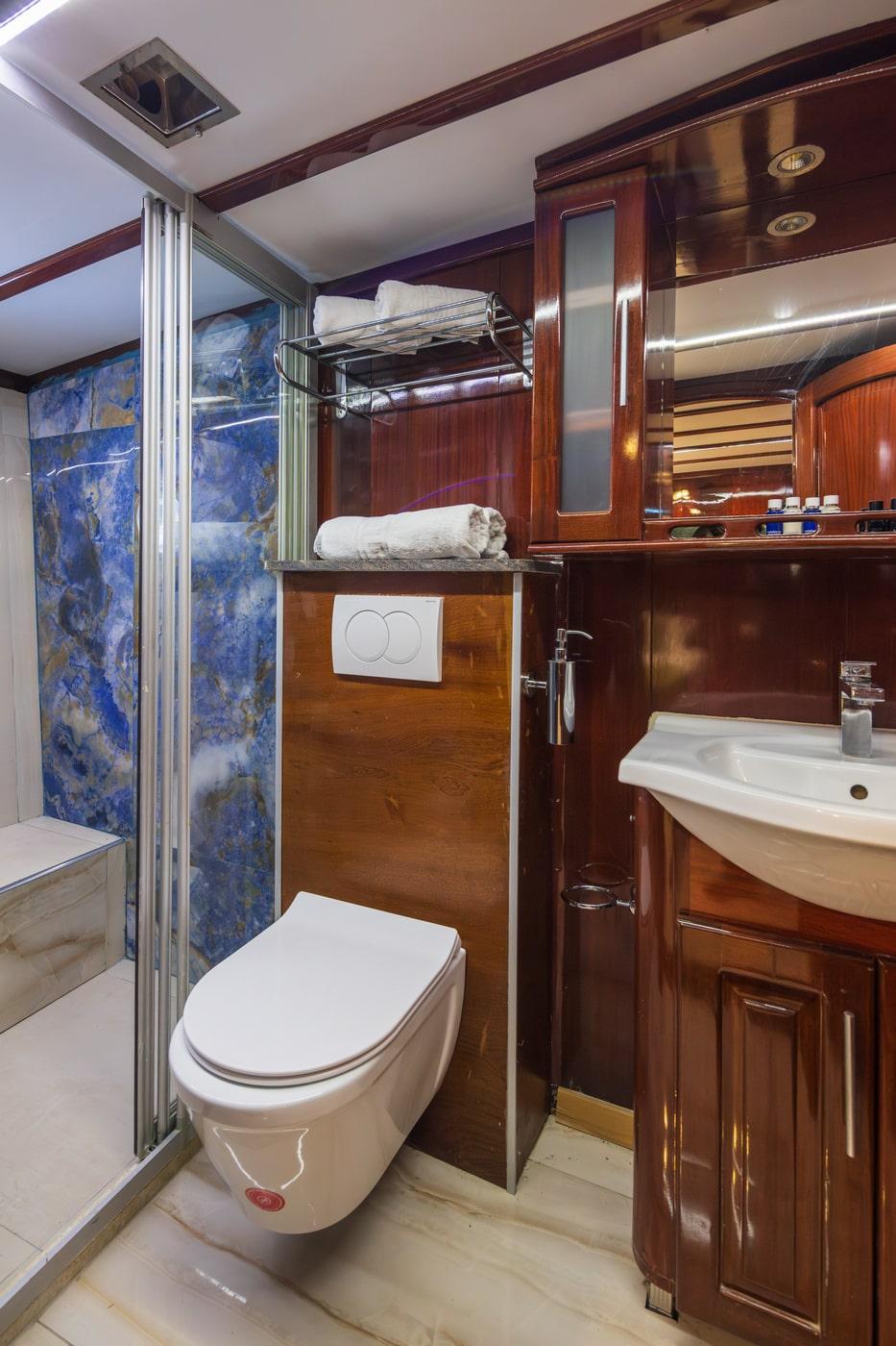 Phoenix Bronze, picture 40