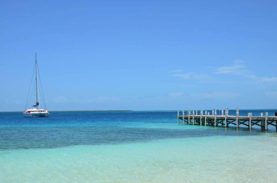 Lagoon 500 - 4 cab. - Sand Star, picture 2