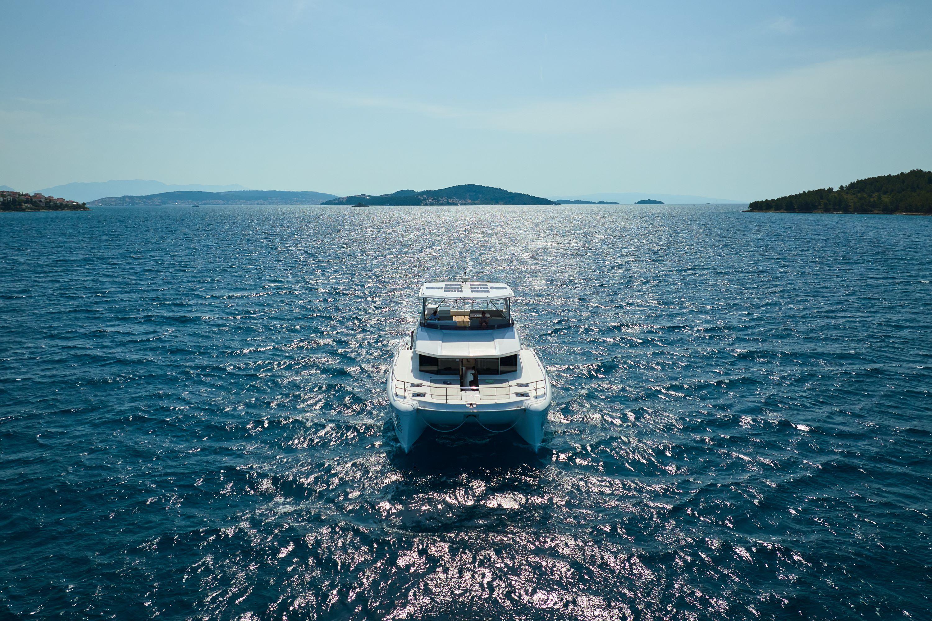 Leopard 53 - OW, picture 4