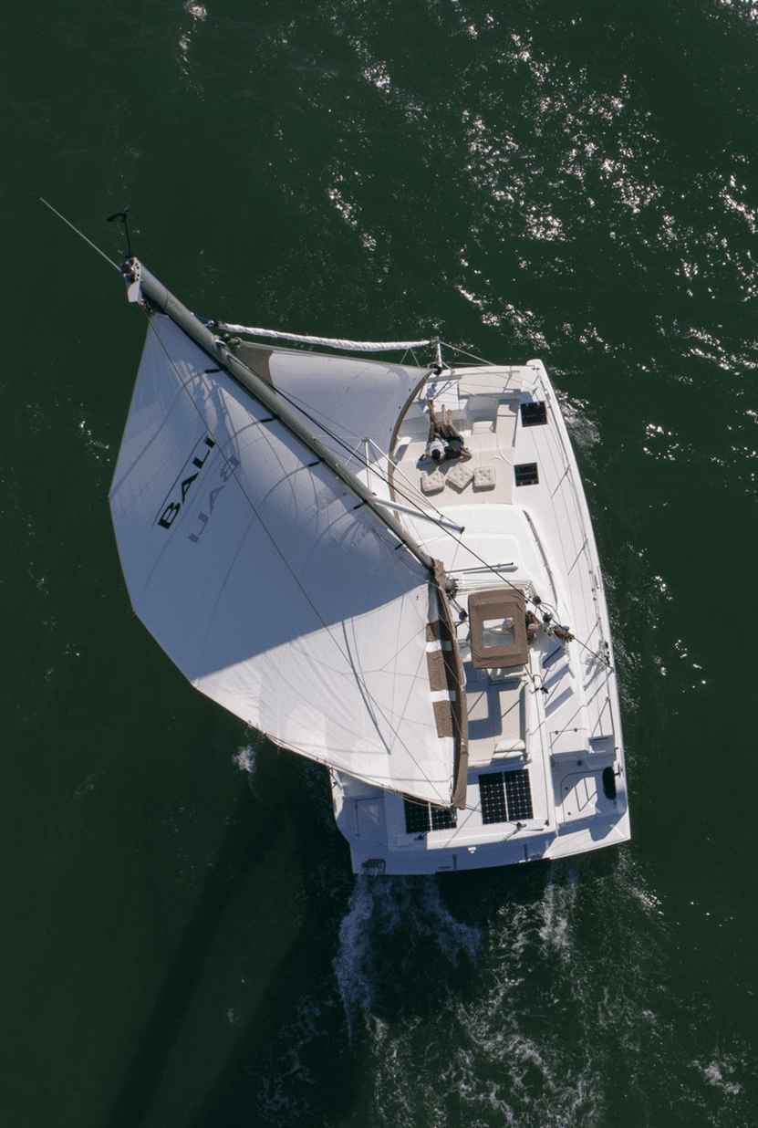 Bali Catspace, picture 4