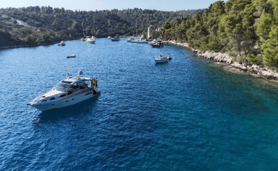 Mirakul 40, picture 2