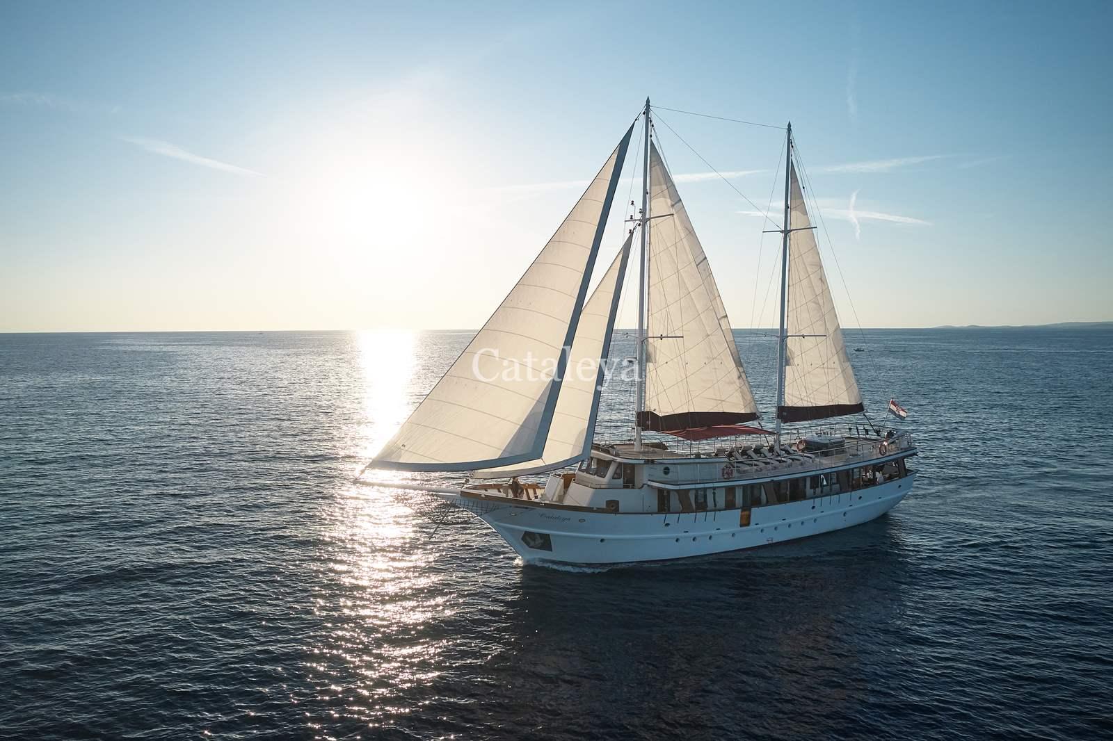 Cataleya, picture 12